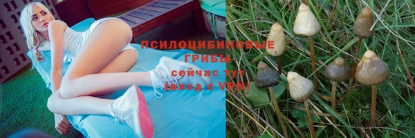 мдпв Наволоки