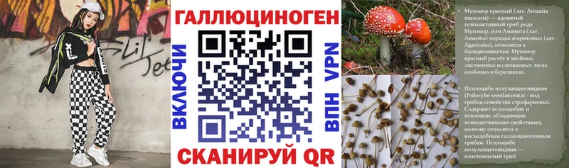 кракен как войти  Краснозаводск  Псилоцибиновые грибы GOLDEN TEACHER 