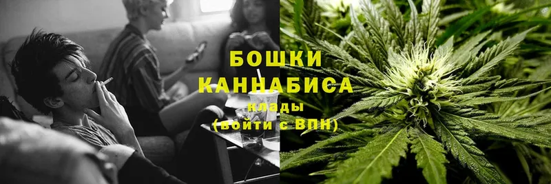 Каннабис Amnesia  продажа наркотиков  Краснозаводск 