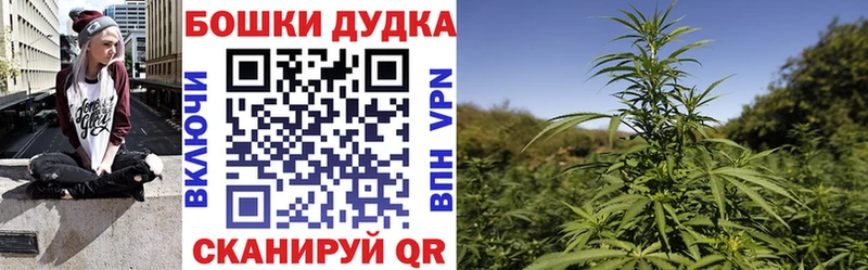 Бошки Шишки план Краснозаводск